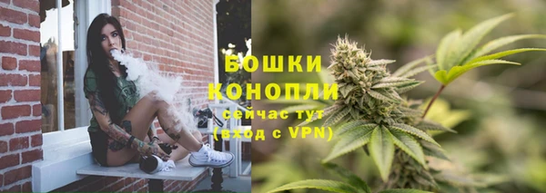 PSILOCYBIN Заволжск