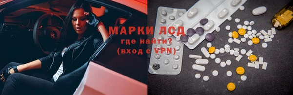 PSILOCYBIN Навашино