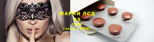 мдпв Болохово