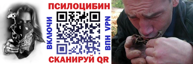 Галлюциногенные грибы Psilocybine cubensis  Межгорье 